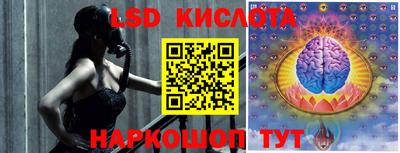 индика Кингисепп