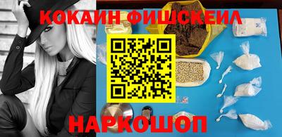 индика Кингисепп