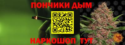 индика Кингисепп