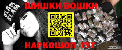 индика Кингисепп