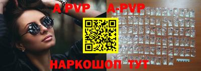 индика Кингисепп