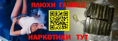 индика Кингисепп