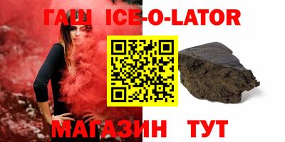 индика Кингисепп