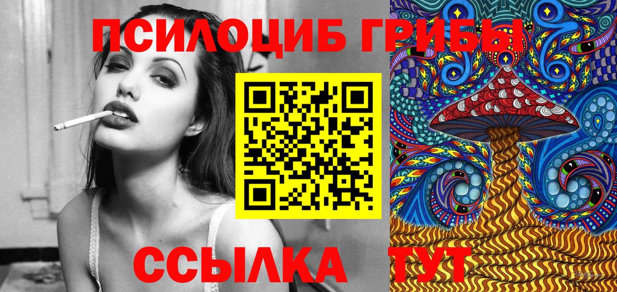 Галлюциногенные грибы прущие грибы  Вход с VPN  Волхов 